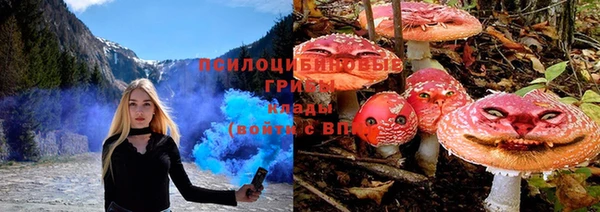 ALPHA PVP Арсеньев