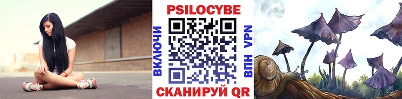 Галлюциногенные грибы Psilocybine cubensis  продажа наркотиков  Чапаевск 